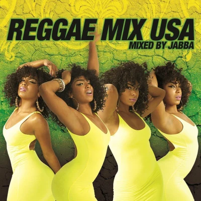 歌手 Reggae Mix USA