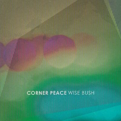 歌手 Wise Bush