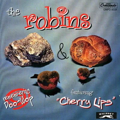 歌手 The Robins