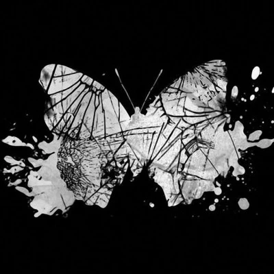 Butterfly Crash/Sektor 122 200 best drum & bass & dub step music