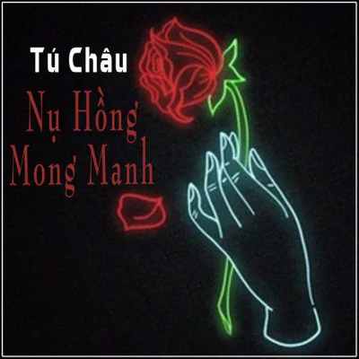 Tú Châu 歌手