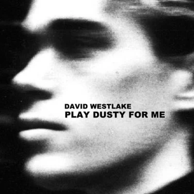 歌手 David Westlake