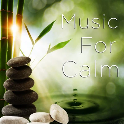 歌手 MeditationHipnose Natureza Sons ColeçãoMúsica para Relaxar Maestro