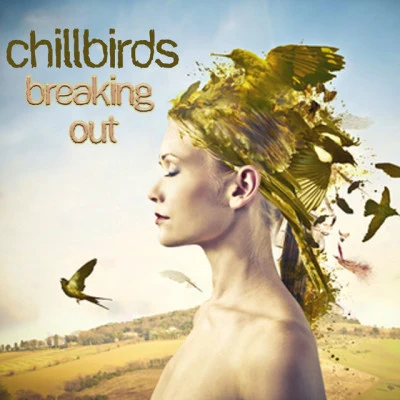 Chillbirds 歌手