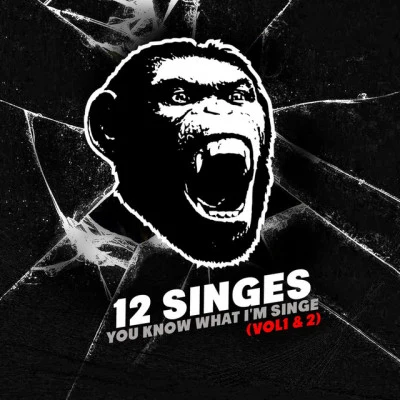 12 Singes 歌手