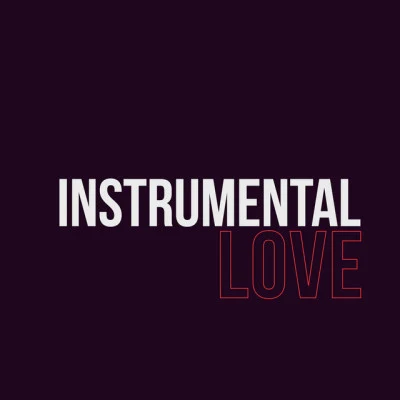 Instrumental Love 歌手