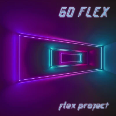 歌手 Flex Project