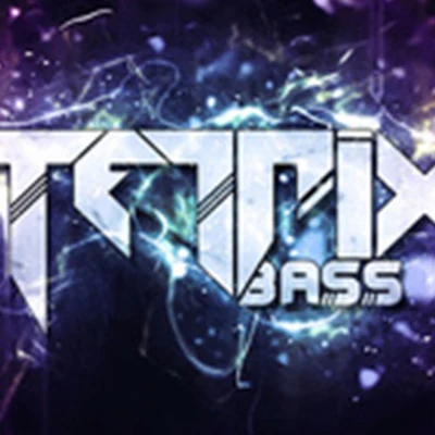 Tetrix Bass 歌手