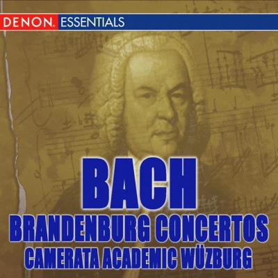 Camerata Academica Würzburg/Hans Reinartz/Gert Hoelscher/Arcangelo Corelli/Conrad von der Goltz 50 Classical Pieces: Back to School