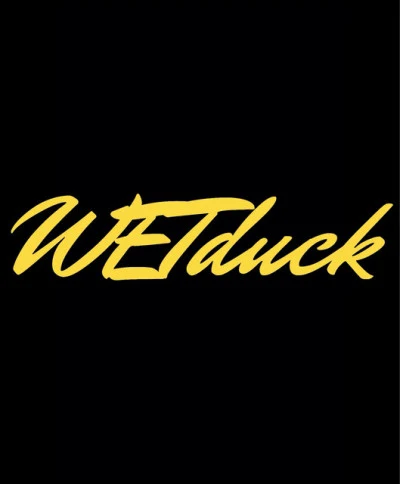 歌手 WETduck