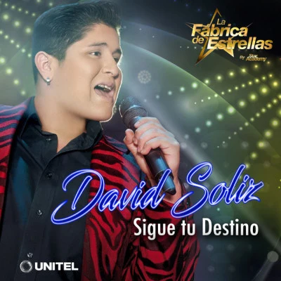 歌手 David Soliz