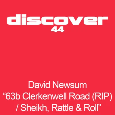 歌手 David Newsum