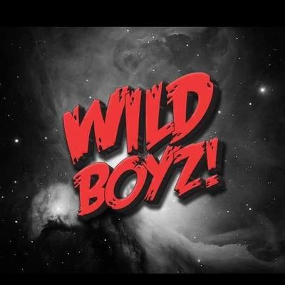 歌手 Wild Boyz!