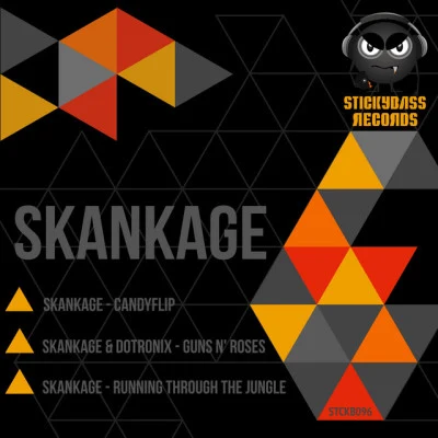 Skankage 歌手