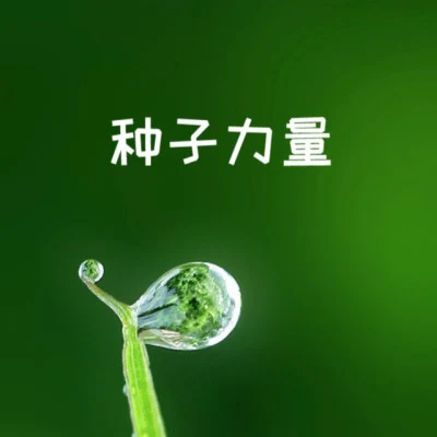 朱爍燃 歌手