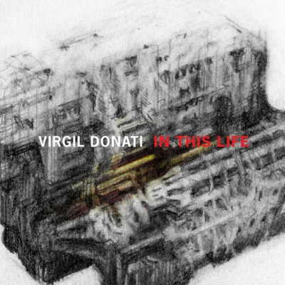 歌手 Virgil Donati