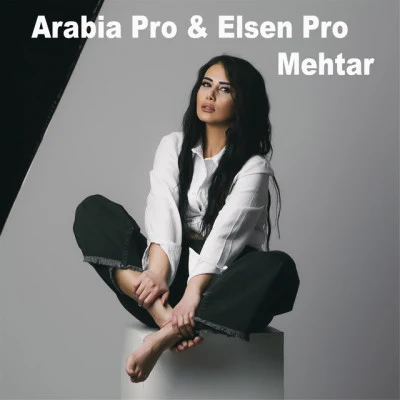 Arabia Pro/Elsen Pro Ente Eih