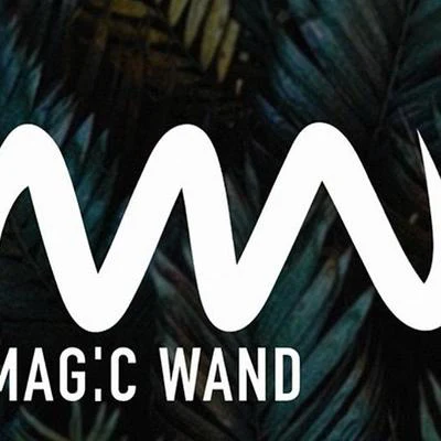 Magic Wand 歌手