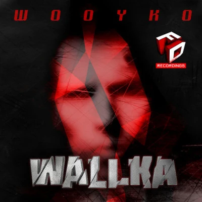 歌手 WooYko