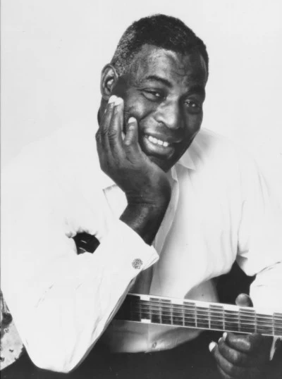 歌手 Howlin' Wolf