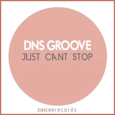 DNS Groove 歌手