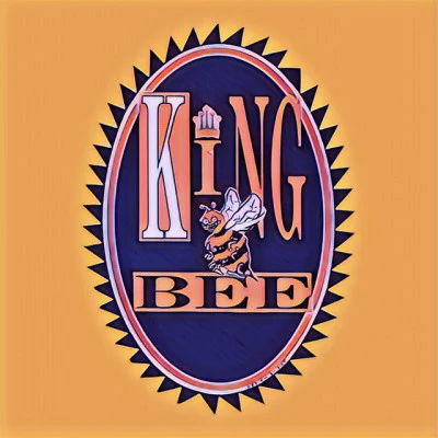 歌手 King Bee