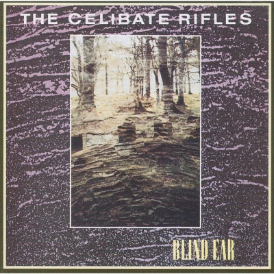 The Celibate Rifles 歌手