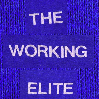 歌手 The Working Elite