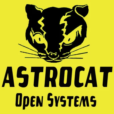 歌手 Astrocat