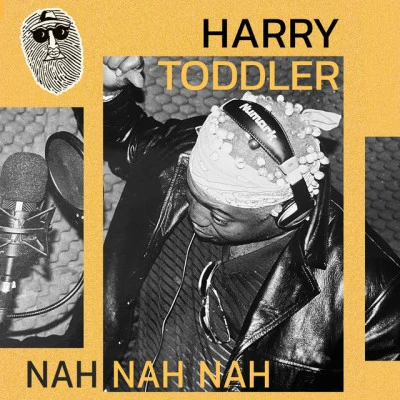 歌手 Harry Toddler