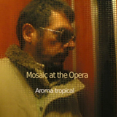 歌手 Mosaic At The Opera