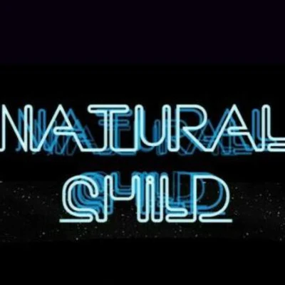 歌手 Natural Child