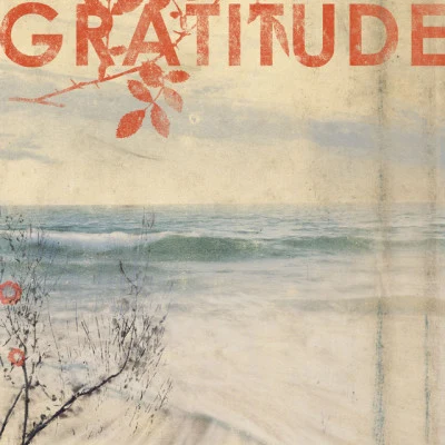 Gratitude 歌手