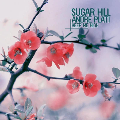 歌手 Andre PlatiSugar Hill