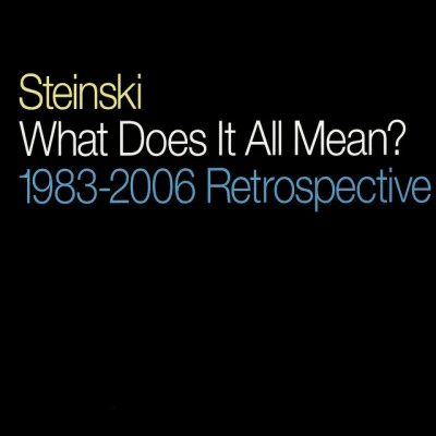 Steinski 歌手