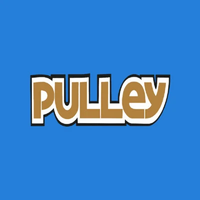 Pulley 歌手