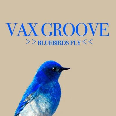 Vax Groove 歌手