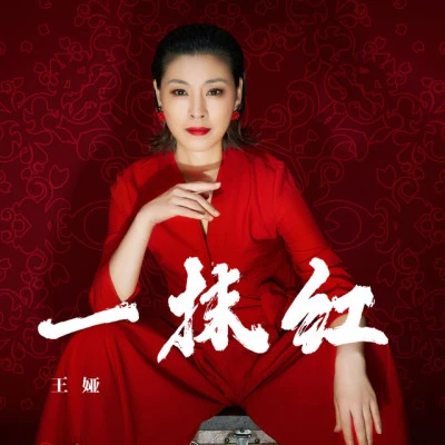 王婭 歌手