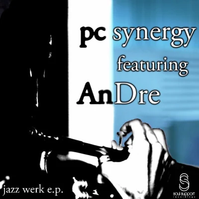 PC Synergy 歌手