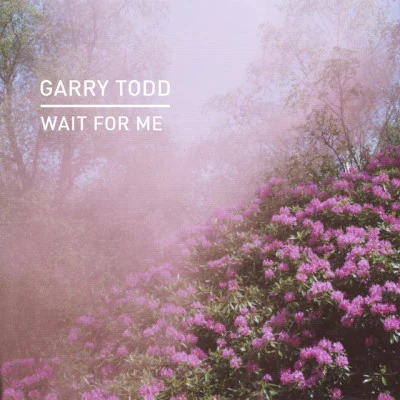 歌手 Garry Todd