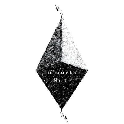 歌手 Immortal Soul