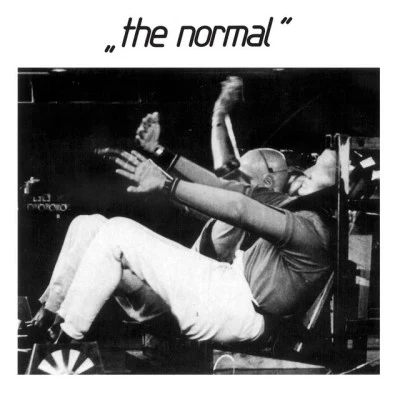 歌手 The Normal