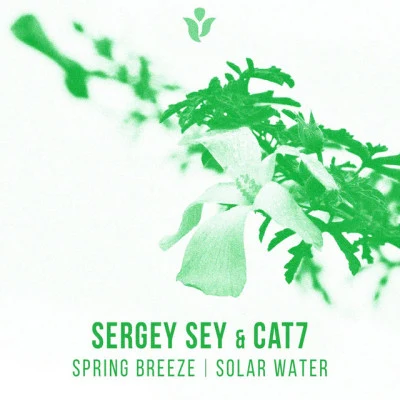 歌手 Sergey SeyCat 7