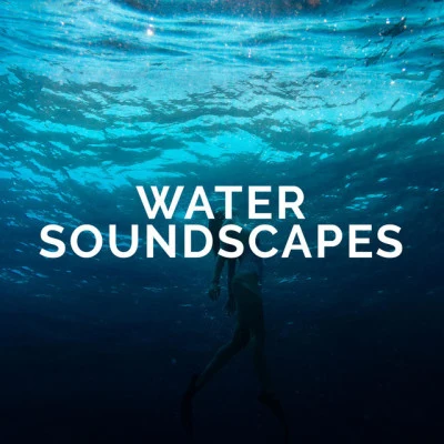 歌手 Water SoundscapesNatural SoundsNature Sounds for Relaxation and Sleep