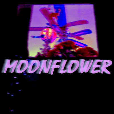 歌手 Moonflower