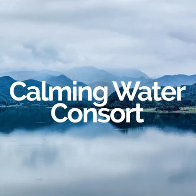 Calming Water Consort/Meditation Music Zone Best Selection of Nature Water Sounds (Calming Sound Therapy for Deep Sleep Relaxation, Meditation, Spa, Massage, Well-being)